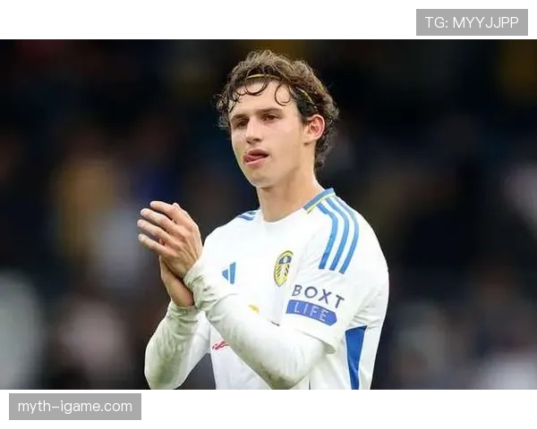 哈兰德血统再启传奇，利兹联新星闪耀引关注